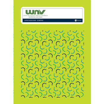 WNV (Livro de estímulos) - Escala Wechsler Não Verbal de Inteligência